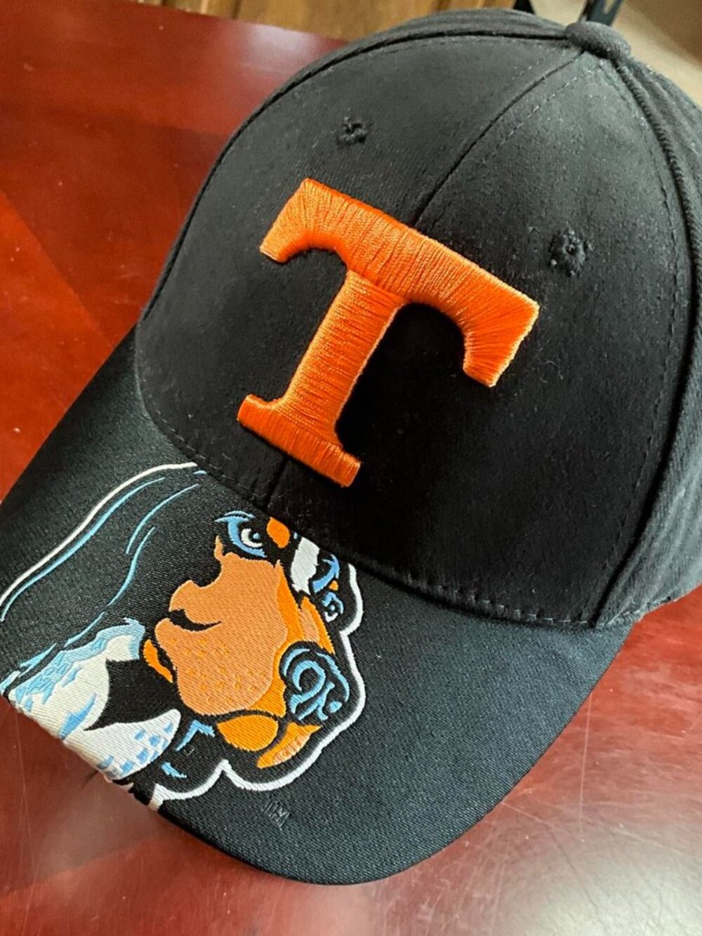 Y2K Official NCAA Tennessee Volunteers Smokey Dog Black Orange Strapback Hat